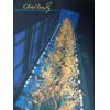 ݲ-Chihuly Okiahoma  City  Museum  Of  Art