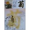 白描菊